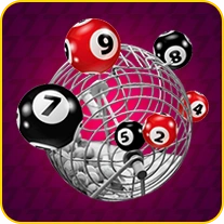 dragontiger